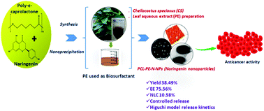 Graphical abstract: Cheilocostus speciosus extract-assisted naringenin-encapsulated poly-ε-caprolactone nanoparticles: evaluation of anti-proliferative activities