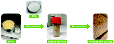 Graphical abstract: Assessment of the environmental sustainability of solvent-less fatty acid ketonization to bio-based ketones for wax emulsion applications