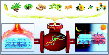 Graphical abstract: Design of bio-based organic phase change materials containing a “safety valve”