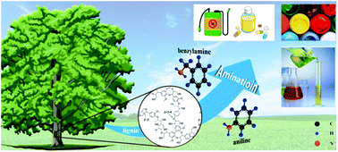 Graphical abstract: Lignin amination valorization: heterogeneous catalytic synthesis of aniline and benzylamine from lignin-derived chemicals