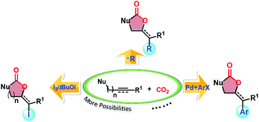 Graphical abstract: Bifunctionalization of unsaturated bonds via carboxylative cyclization with CO2: a sustainable access to heterocyclic compounds