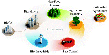Graphical abstract: Efficacy, economics, and sustainability of bio-based insecticides from thermochemical biorefineries