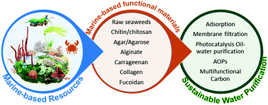 Graphical abstract: Progress in marine derived renewable functional materials and biochar for sustainable water purification