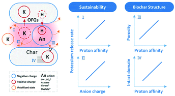 Graphical abstract: The critical role of anions in the porous biochar structure and potassium release during the potassium-assisted pyrolysis process