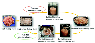 Graphical abstract: Two-step demineralization of shrimp (Pandalus Borealis) shells using citric acid: an environmentally friendly, safe and cost-effective alternative to the traditional approach
