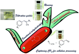 Graphical abstract: Engineering cellulose into water soluble poly(protic ionic liquid) electrolytes in the DBU/CO2/DMSO solvent system as an organocatalyst for the Knoevenagel condensation reaction