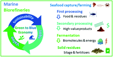 Graphical abstract: From green to blue economy: Marine biorefineries for a sustainable ocean-based economy