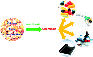 Graphical abstract: Production of chemicals from marine biomass catalysed by acidic ionic liquids