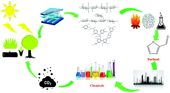 Graphical abstract: Furfural – a versatile, biomass-derived platform chemical for the production of renewable chemicals