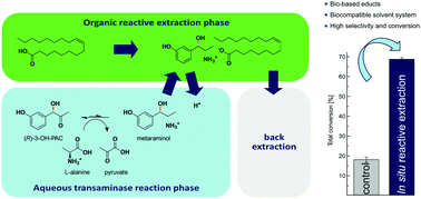 Graphical abstract: In situ reactive extraction with oleic acid for process intensification in amine transaminase catalyzed reactions