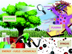 Graphical abstract: Plasma technology for lignocellulosic biomass conversion toward an electrified biorefinery
