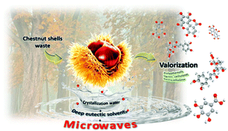 Graphical abstract: Combining acid-based deep eutectic solvents and microwave irradiation for improved chestnut shell waste valorization