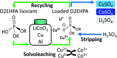 Graphical abstract: Recovery of cobalt from lithium-ion battery cathode material by combining solvoleaching and solvent extraction