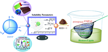 Graphical abstract: Prediction of solubility parameters of lignin and ionic liquids using multi-resolution simulation approaches