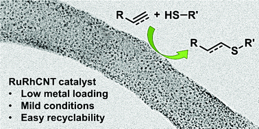 Graphical abstract: Catalytic hydrothiolation of alkenes and alkynes using bimetallic RuRh nanoparticles on carbon nanotubes