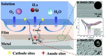 Graphical abstract: The choice of ionic liquid ions to mitigate corrosion impacts: the influence of superbase cations and electron-donating carboxylate anions