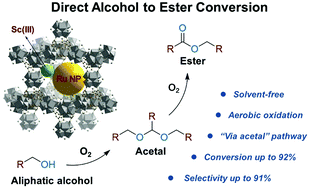 Graphical abstract: One-step solvent-free aerobic oxidation of aliphatic alcohols to esters using a tandem Sc–Ru⊂MOF catalyst