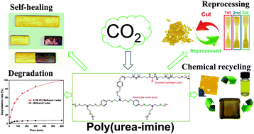 Graphical abstract: A self-healing and recyclable poly(urea-imine) thermoset synthesized from CO2