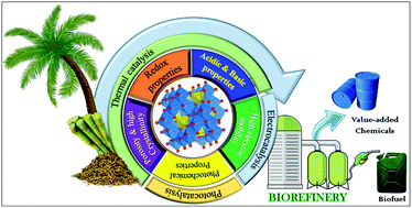 Graphical abstract: Spinel-based catalysts for the biomass valorisation of platform molecules via oxidative and reductive transformations