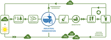 Graphical abstract: Fermentation for the production of biobased chemicals in a circular economy: a perspective for the period 2022–2050