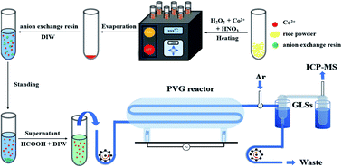 Graphical abstract: Integration of cobalt ion assisted Fenton digestion and photochemical vapor generation: a green method for rapid determination of trace cadmium in rice