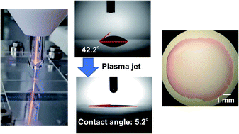 Graphical abstract: Total reflection X-ray fluorescence analysis with a glass substrate treated with a He atmospheric pressure plasma jet