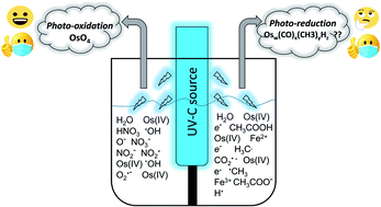 Graphical abstract: High-efficiency photoreductive vapor generation of osmium