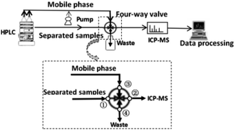 Graphical abstract: Measurement of trace potassium hexachloroplatinate concentrations in carboplatin by HPLC-ICP-MS with valve switching