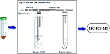 Graphical abstract: Separation of methylmercury from biological samples for stable isotopic analysis