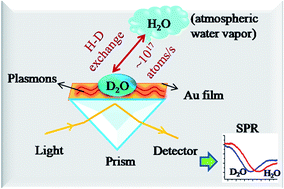 Graphical abstract: Probing the H–D isotopic exchange reaction in a liquid droplet via surface plasmon resonance