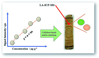 Graphical abstract: Direct analysis of tree rings using laser ablation-ICP-MS and quantitative evaluation of Zn and Cu using filter paper as a solid support for calibration
