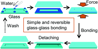 Graphical abstract: A simple and reversible glass–glass bonding method to construct a microfluidic device and its application for cell recovery