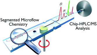 Graphical abstract: Integration of segmented microflow chemistry and online HPLC/MS analysis on a microfluidic chip system enabling enantioselective analyses at the nanoliter scale