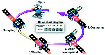 Graphical abstract: An electricity- and instrument-free infectious disease sensor based on a 3D origami paper-based analytical device