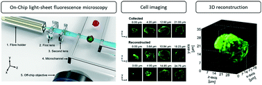 Graphical abstract: Three-dimensional imaging on a chip using optofluidics light-sheet fluorescence microscopy