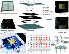 Graphical abstract: A robust and scalable active-matrix driven digital microfluidic platform based on printed-circuit board technology