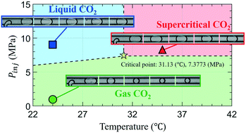 Graphical abstract: Microfluidic mass transfer of CO2 at elevated pressures: implications for carbon storage in deep saline aquifers