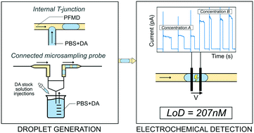 Graphical abstract: In-flow electrochemical detection of chemicals in droplets with pyrolysed photoresist electrodes: application as a module for quantification of microsampled dopamine