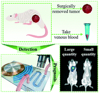 Graphical abstract: Postoperative evaluation of tumours based on label-free acoustic separation of circulating tumour cells by microstreaming