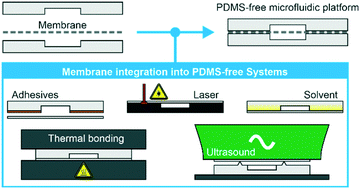 Graphical abstract: Membrane integration into PDMS-free microfluidic platforms for organ-on-chip and analytical chemistry applications