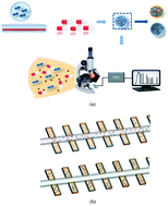 Graphical abstract: A multiplexed nanoliter array-based microfluidic platform for quick, automatic antimicrobial susceptibility testing