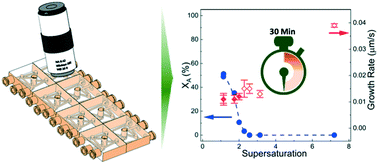 Graphical abstract: Advanced continuous-flow microfluidic device for parallel screening of crystal polymorphs, morphology, and kinetics at controlled supersaturation