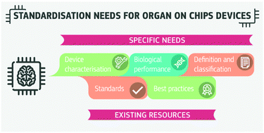 Graphical abstract: Standardisation needs for organ on chip devices