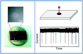 Graphical abstract: Recent advances in integrated solid-state nanopore sensors