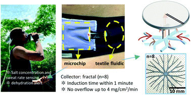 Graphical abstract: Bio-inspired fractal textile device for rapid sweat collection and monitoring