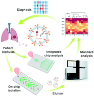 Graphical abstract: Advances in microfluidic extracellular vesicle analysis for cancer diagnostics