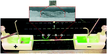 Graphical abstract: Wireless bipolar electrode-based textile electrofluidics: towards novel micro-total-analysis systems