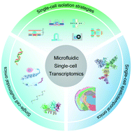 Graphical abstract: Microfluidic single-cell transcriptomics: moving towards multimodal and spatiotemporal omics