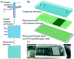 Graphical abstract: A photofabricated honeycomb micropillar array for loss-free trapping of microfluidic droplets and application to digital PCR
