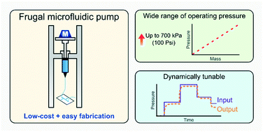 Graphical abstract: A frugal microfluidic pump